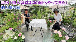 【お庭訪問】第78回 全国にファンも多いロココさんの庭へ／これから咲くバラやクレマチスの仕立てを解説【個人邸の庭】