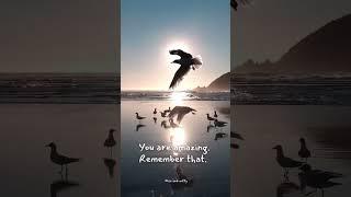 Wise words #73 | wise and witry #motivation #quotes #selfcare #ambition