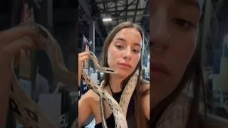 #рептилии#змеи#рептилиум