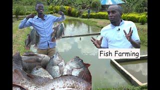 Fish Farming EP1 - Starting up your own fish farm with Grace Fish Farm.