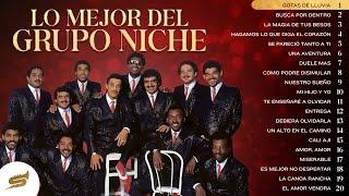 Lo Mejor Del Grupo Niche - Salsa Power