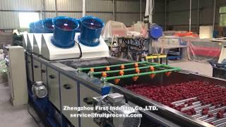 Dates processing line, Dates washing drying grading line, dates processing plant