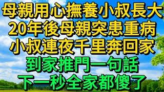 母親用心撫養小叔長大，20年後母親突患重病，小叔連夜千里奔回家，到家推門一句話，下一秒全家都傻了 | 柳梦微语