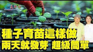 種子育苗這樣做，48小時就發芽，超級簡單！