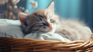 EXTREMELY Soothing Cat Therapy Music - Relax Your Cat! Cat Music - Music to Help Your Kitty Sleep