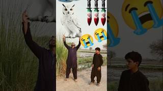  Bakra lari Bado Badi #trending #shorts #islamic #vfxshorts