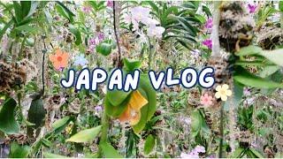 JAPAN DIARIES | kyoto, teamlabs, and lots of ramen