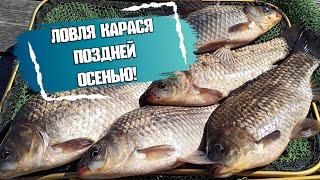 Карась поздней осенью! Где и чем ловить карася в ноябре.