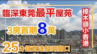 大灣區東莞樟木頭2010年小區總價55萬買三房價錢抵到爛