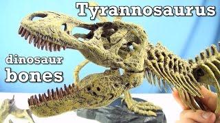 Tyrannosaurus Rex Dinosaur Skeleton bones - Huge T-Rex fossil Geoworld Jurassic Hunters