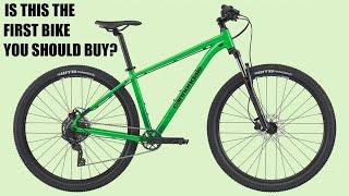 Entry Level Budget Mountain Bikes from Big Brands