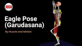 Eagle Pose (Garudasana): Balance & Alignment