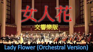 女人花  | Lady Flower | 交响乐版