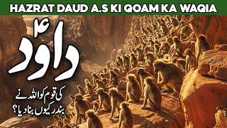 Life Of Prophet Dawood | Story Of Prophet Dawud | Tomb Of King David | Al Habib Islamic