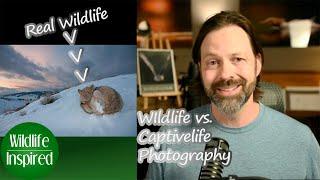 Wildlife vs. Captivelife Photography