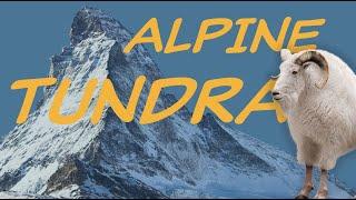 Explore the ALPINE TUNDRA Biome ️ Nature Ecology & Environment