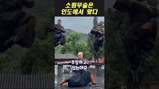 소림무술은 인도의 칼라리 파야트에서 왔다