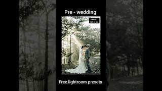 Pre Wedding Free Preset | Vishal Preset | #freepresets #lightroompresets #lightroom