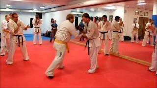 Last Fight - Steffen's Nidan Grading