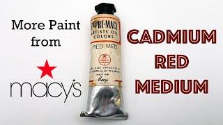 More Oil Paint from Macys: Cadmium Red Medium vs Winsor & Newton Comparison