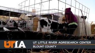 UT CASNR Hands-On Learning