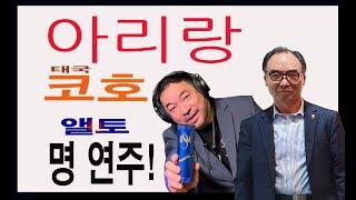 정말 아름다운 앨토 아리랑! 세계적 연주가 '코호' ESM 앨토피스 시연