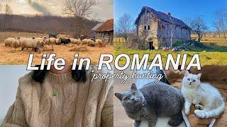 Village from 1319 *Property Hunting* in ROMANIA * Visiting a Monastery, A Realistic Vlog ASMR