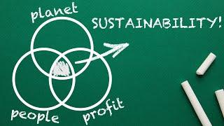 What is SUSTAINABILITY? Explained By An Expert