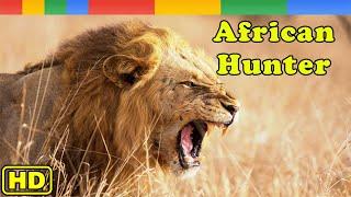 [Nat Geo Wild] Africa's Hunters - Lion Pride 2021 - Animals Documentary Nature HD