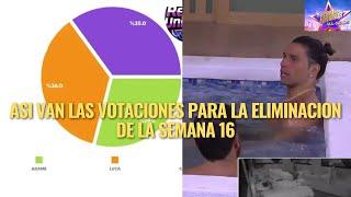 ASI VAN LAS VOTACIONES PARA LA ELIMINACION DE LA SEMANA 16 EN LCDLF ALL STARS