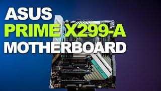 Newegg Insider: ASUS PRIME X299-A Motherboard Overview