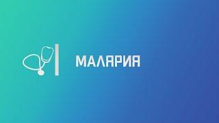 Малярия. Лекция для студента и практикующего врача.