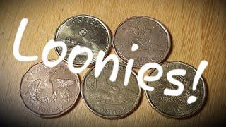 LOONIES! So many finds! ($150 Loonie hunt)