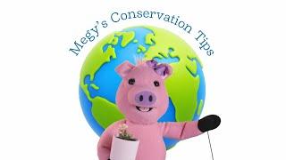 Practice Megy's Conservation Tips! | Learn with the Primrose Friends