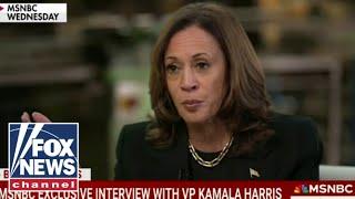 'BEST WE HAVE': Kamala Harris roasted for one-on-one interview