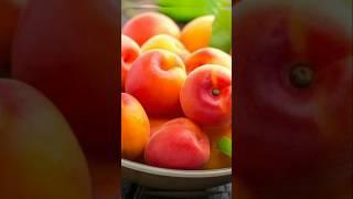 Apricot fruit history benefit nutrition value and side effect. Apricots are a good