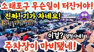 소래포구 무슨일 터진거야! 주차장 마비됐네! 진짜 기가차다! 이걸 엄청 사네! 사람들 왜오지? #폭락 #시장 #맛집 #물가 #food #김치 #가격비교 #수산물 #소래포구