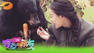 《奇妙的朋友》第2期 Wonderful Friends EP2: 李宇春突发眼疾 胡杏儿被猩猩咬哭 Gorilla Bites Myolie Wu【湖南卫视官方版1080p】20150131