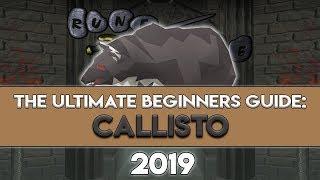 2019 Callisto Guide: Everything You Need to Know