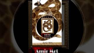 Amir Mrt - Moshin