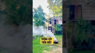 Trải nghiệm trồng cây trên mây cùng người lạ và cái kết #saigonxanh #vlog #dulich #chualanh