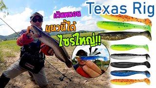 Texas rig เดินหนอนแบบนี้ได้ลุ้นไซร์ใหญ่!! - ตามหาช่อนใหญ่หมายคลองวิธีนี้ไม่พลาด!! (Riproy)