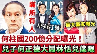 何柱國離世4天，200億遺產最終分配結果曝光！兒子何正德大鬧，林恬兒徹底傻眼！他竟然瞞住所有人做出呢種決定！生前最後一幕曝光！#何柱國#何正德#林恬兒#林建岳#娛記太太