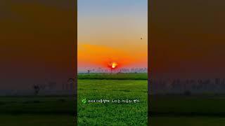  21대 대통령께 드리는 마음의 편지  #대통령 #편지 #마음 #소통 #국민