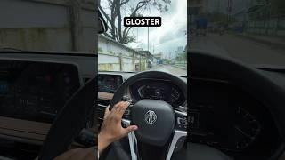 Gloster interior (MG) #shorts