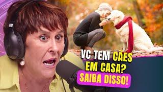 Os CÃES e a ESPIRITUALIDADE | Márcia Sensitiva