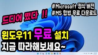 [Microsoft 공식 배포] 윈도우11 정식버전, 무료 설치 방법 (MS 공식 홈피 다운로드) #Windows11정식출시 #윈도우11무료다운로드