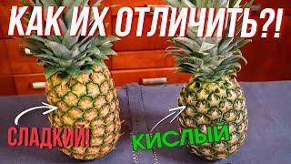 Как выбрать ананас ПРАВИЛЬНО?! / Всегда СЛАДКИЙ - 2 варианта подачи!