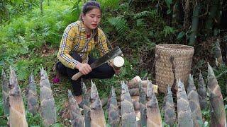 Bamboo shoot harvesting - Processing to make chili bamboo shoots | Daily life of a country girl