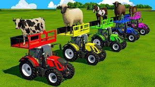 TRANSPORTING COWS, SHEEPS, HORSES, BULLS, GOATS & TRACTORS WITH MAN TRUCKS - FS22